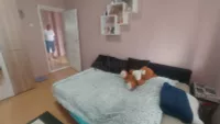 Šestosoban stan | 4zida