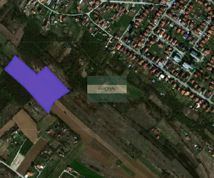 Voljavče | 4zida.rs