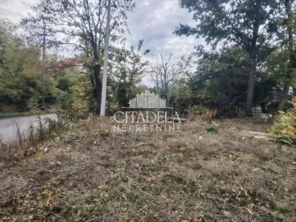 Stara lipovica | 4zida.rs