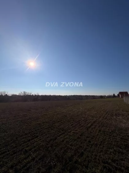 Čortanovci | 4zida.rs