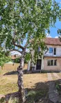 Bagljaš, Gradske lokacije, Zrenjanin | 4zida.rs | 4zida.rs