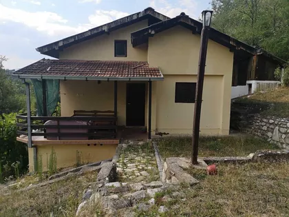 Petra Bojovića | 4zida.rs