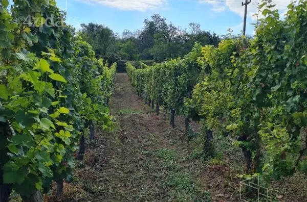 Poljoprivredno zemljište | 4zida