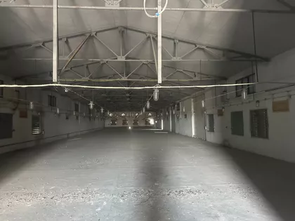 Svetozara Markovića | 4zida.rs