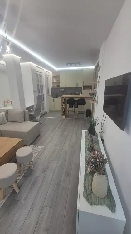 Miše Dimitrijevića | 4zida.rs