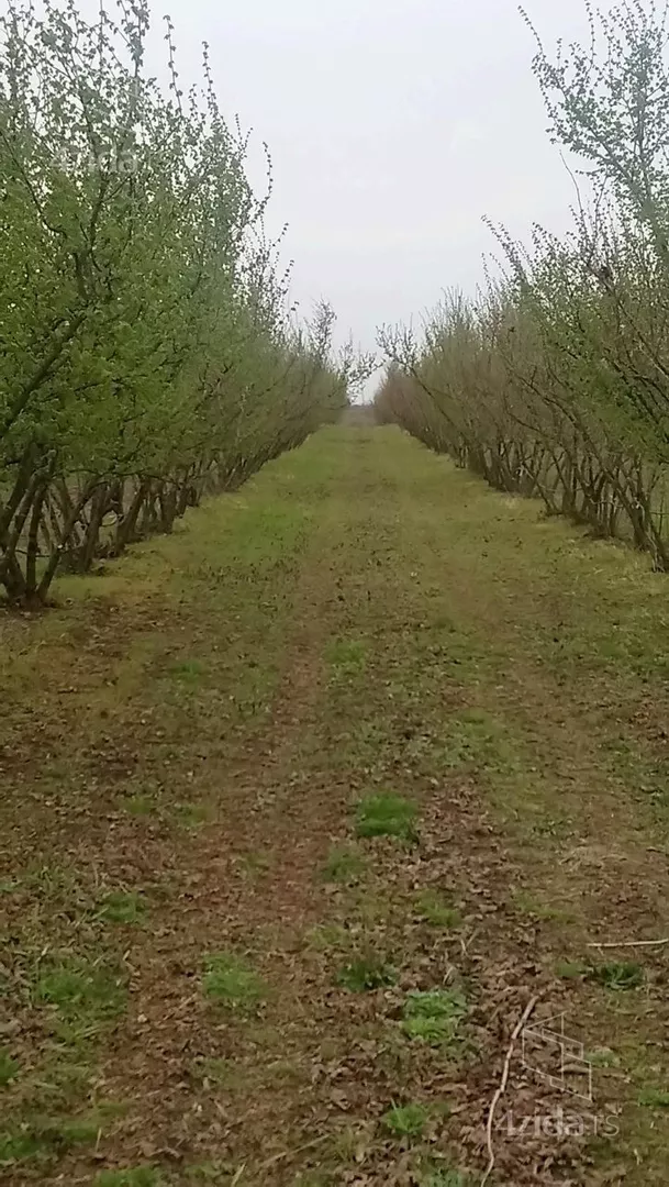 Poljoprivredno zemljište | 4zida