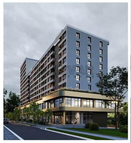 Palilulska | 4zida.rs