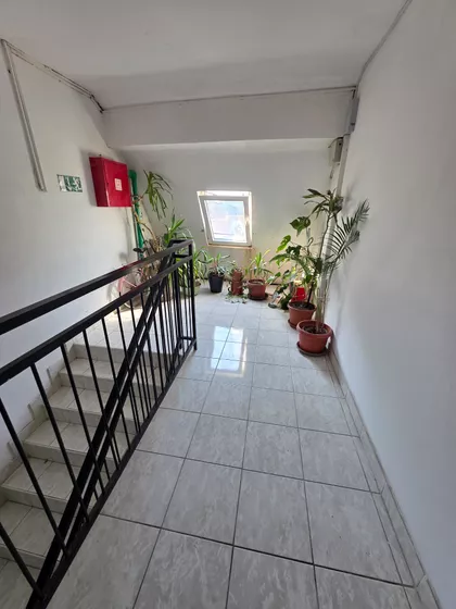 Kneginje Milice | 4zida.rs