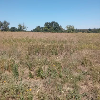 Đurđevo | 4zida.rs