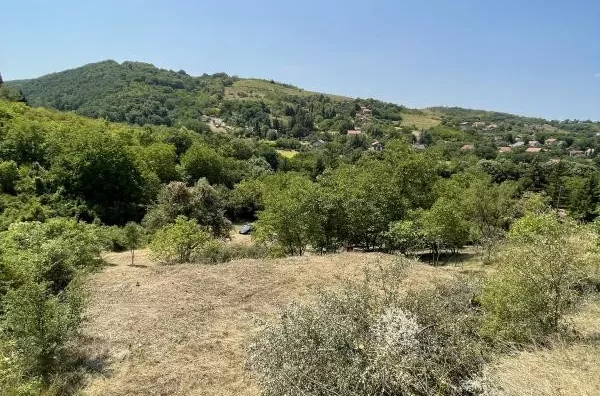 Plac | 4zida