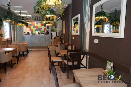 Novi Sad - Centar | 4zida.rs