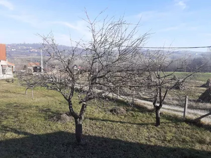 Mlekarska | 4zida.rs