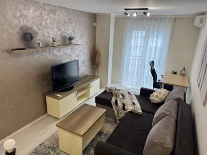 Vase Pelagića | 4zida.rs
