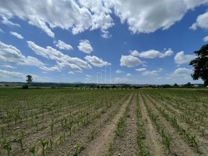 Velika Ivanča | 4zida.rs