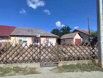 Zorka | 4zida.rs