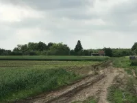 Sombor, Gradske lokacije, Šikara | 4zida.rs | 4zida.rs