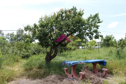 Ustanička | 4zida.rs
