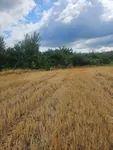 Poljoprivredno zemljište | 4zida