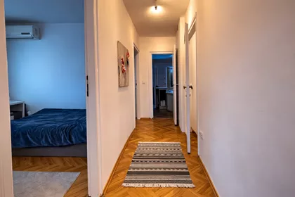Šumatovačka | 4zida.rs