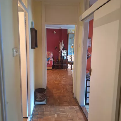 Mileve Marić | 4zida.rs