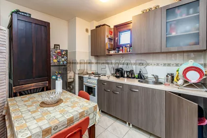 Hajduk Veljkova | 4zida.rs