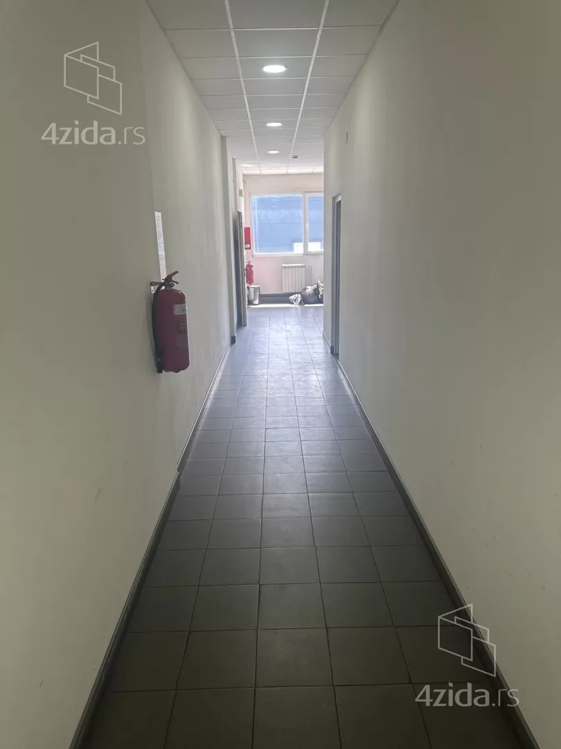 Hala | 4zida