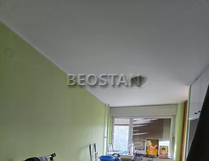 Bulevar Arsenija Čarnojevića | 4zida.rs