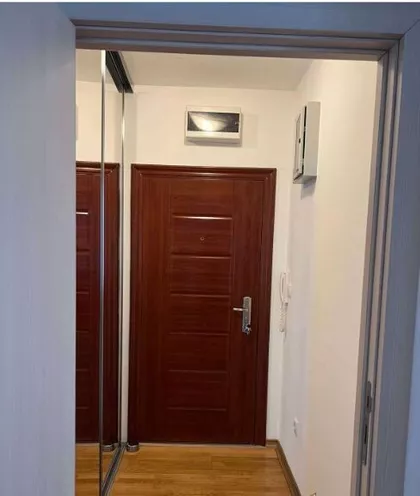 Petra Drapšina | 4zida.rs