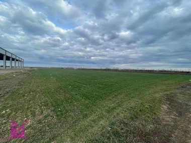 Rumenka