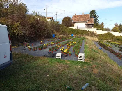 Mesečeva 6 | 4zida.rs