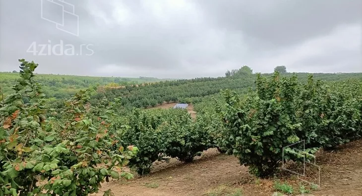 Poljoprivredno zemljište | 4zida