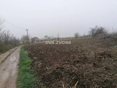 Novi Slankamen