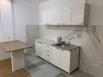 Borča | 4zida.rs