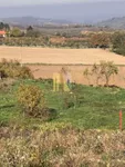 Plac | 4zida