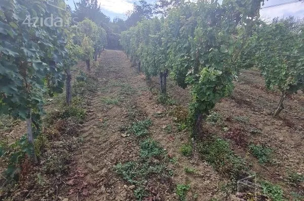 Poljoprivredno zemljište | 4zida