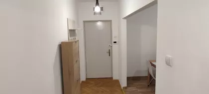 Miše Dimitrijevića | 4zida.rs