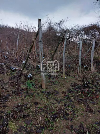 Niška Banja | 4zida.rs