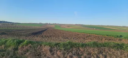 Fruškogorska | 4zida.rs