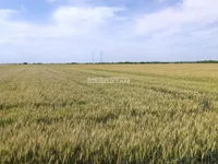 Ovča, Palilula opština, Beograd | 4zida.rs