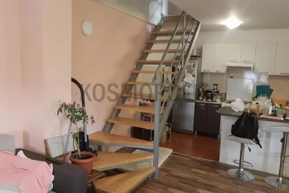 Paje Jovanovića | 4zida.rs
