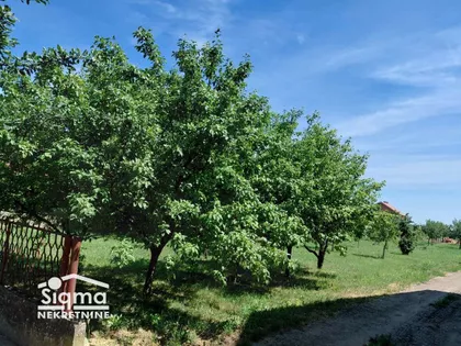 Ravni Topolovac | 4zida.rs