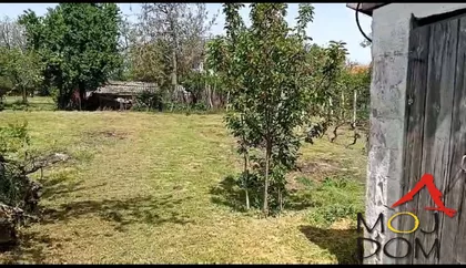 Čortanovci | 4zida.rs