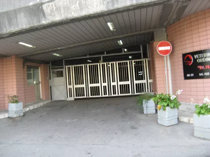 Živka Davidovića | 4zida.rs