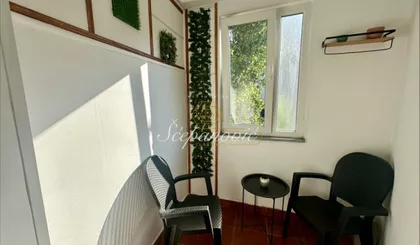 Nova Detelinara | 4zida.rs