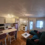 Novi Sad, Gradske lokacije, Telep | 4zida.rs | 4zida.rs