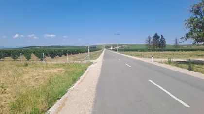 Jovice Mihajlovića | 4zida.rs