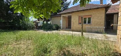 Pačir | 4zida.rs