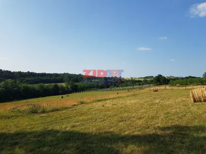 Kosmajska | 4zida.rs