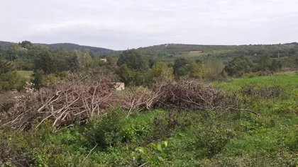 Lezimir | 4zida.rs