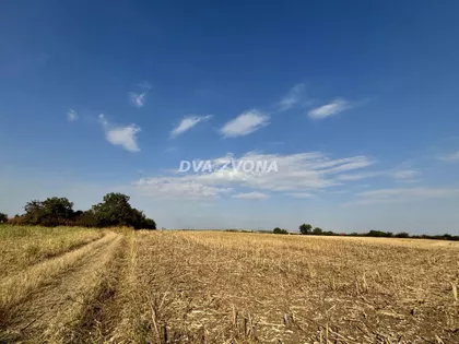 Čortanovci | 4zida.rs